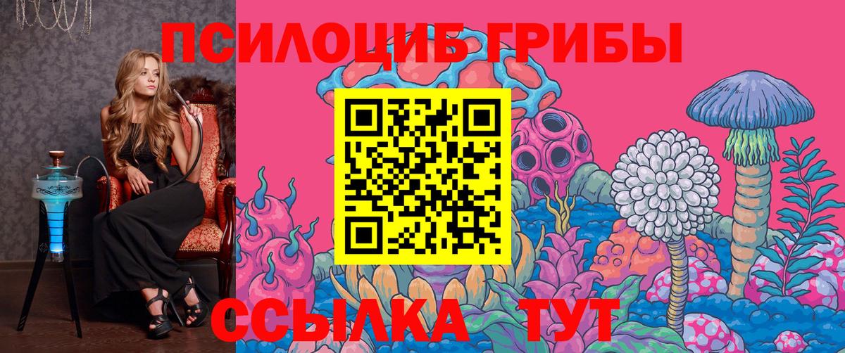 Псилоцибиновые грибы мицелий  Вход с VPN  Псилоцибиновые грибы Psilocybe  Тимашёвск 