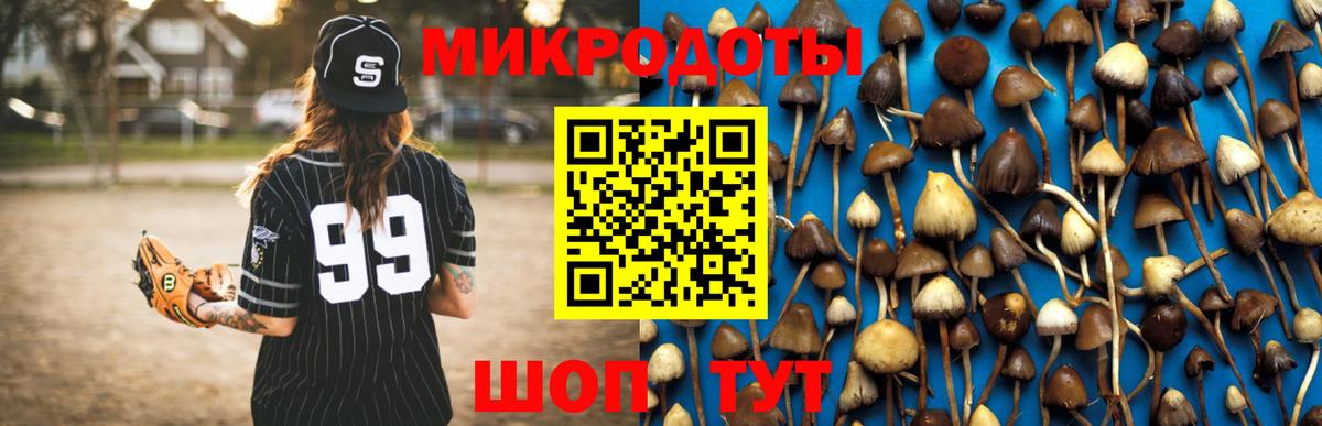 Галлюциногенные грибы прущие грибы Тимашёвск